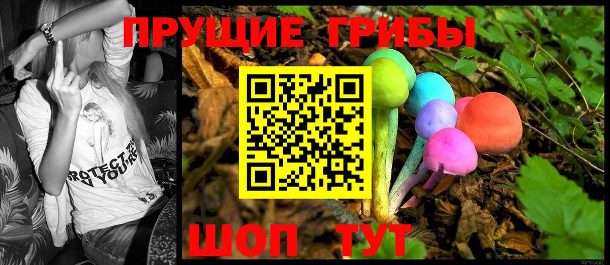 Псилоцибиновые грибы Cubensis Иваново